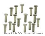 Model T Crankcase lower cover bolt set - 3101BS