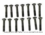 Model T Wood upholstery tack strip bolt set. Roadster - 5190CXBR