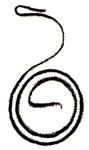 Model T Starter brush spring - 5115