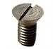Field screw