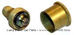 2545BGR - BRASS small grease cup, with modern zerk fitting