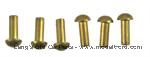 Model T 3507R - Steering gear case brass rivet set. 6 Brass rivets.