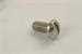 Model T 721 - Roadster and Touring interior trim screw set.