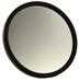 5” stainless steel mirror head