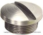 2532E - Housing oil plug, slotted style