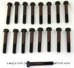 Model T Low cylinder head bolt set - 3003S